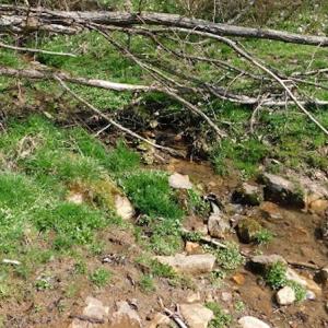 Photo #10 of US Hwy 19, Lebanon, VA 275.0 acres