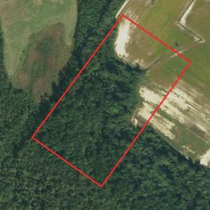 Photo #1 of SOLD property in Boyd Road, Fairmont, NC 20.1 acres