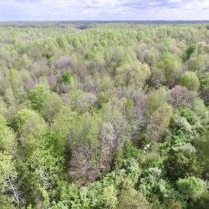 Photo #10 of SOLD property in 21 Davenport Rd, Cumberland, VA 5.0 acres