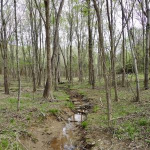 Photo #14 of SOLD property in 21 Davenport Rd, Cumberland, VA 5.0 acres