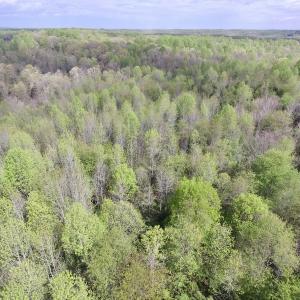 Photo #16 of SOLD property in 21 Davenport Rd, Cumberland, VA 5.0 acres