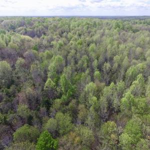 Photo #21 of SOLD property in 21 Davenport Rd, Cumberland, VA 5.0 acres