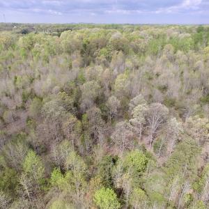 Photo #28 of SOLD property in 21 Davenport Rd, Cumberland, VA 5.0 acres