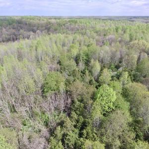 Photo #32 of SOLD property in 21 Davenport Rd, Cumberland, VA 5.0 acres