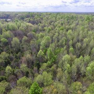 Photo #4 of SOLD property in 22 Davenport Rd, Cumberland, VA 5.0 acres