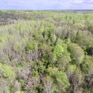 Photo #6 of SOLD property in 22 Davenport Rd, Cumberland, VA 5.0 acres