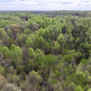 Photo #3 of SOLD property in 22 Davenport Rd, Cumberland, VA 5.0 acres