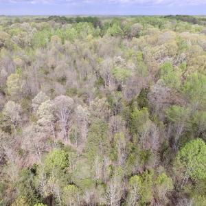 Photo #8 of SOLD property in 22 Davenport Rd, Cumberland, VA 5.0 acres
