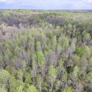 Photo #9 of SOLD property in 22 Davenport Rd, Cumberland, VA 5.0 acres