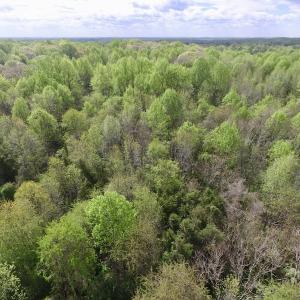 Photo #10 of SOLD property in 22 Davenport Rd, Cumberland, VA 5.0 acres