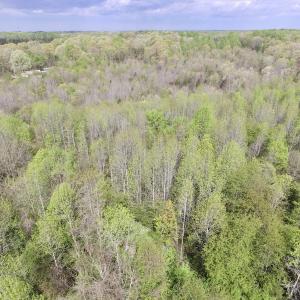 Photo #11 of SOLD property in 22 Davenport Rd, Cumberland, VA 5.0 acres