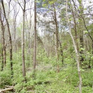 Photo #13 of SOLD property in 22 Davenport Rd, Cumberland, VA 5.0 acres