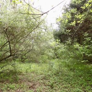 Photo #14 of SOLD property in 22 Davenport Rd, Cumberland, VA 5.0 acres