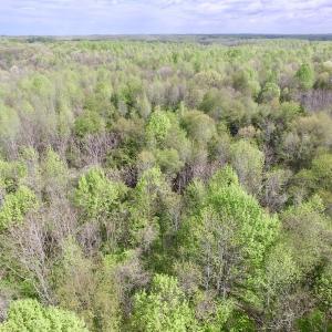 Photo #17 of SOLD property in 22 Davenport Rd, Cumberland, VA 5.0 acres