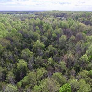 Photo #18 of SOLD property in 22 Davenport Rd, Cumberland, VA 5.0 acres
