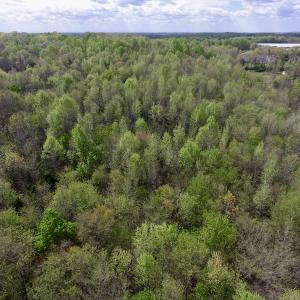 Photo #19 of SOLD property in 22 Davenport Rd, Cumberland, VA 5.0 acres