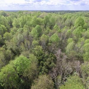 Photo #20 of SOLD property in 22 Davenport Rd, Cumberland, VA 5.0 acres