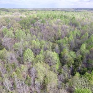 Photo #23 of SOLD property in 22 Davenport Rd, Cumberland, VA 5.0 acres