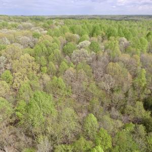 Photo #25 of SOLD property in 22 Davenport Rd, Cumberland, VA 5.0 acres