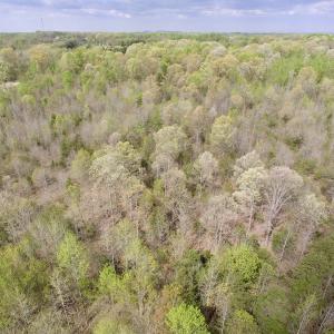 Photo #26 of SOLD property in 22 Davenport Rd, Cumberland, VA 5.0 acres