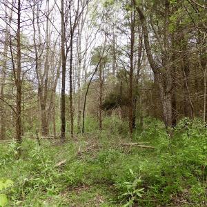 Photo #28 of SOLD property in 22 Davenport Rd, Cumberland, VA 5.0 acres