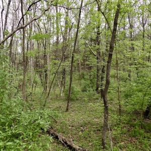 Photo #29 of SOLD property in 22 Davenport Rd, Cumberland, VA 5.0 acres