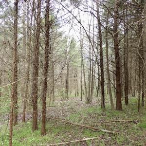 Photo #30 of SOLD property in 22 Davenport Rd, Cumberland, VA 5.0 acres