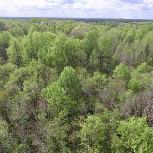 Photo #31 of SOLD property in 22 Davenport Rd, Cumberland, VA 5.0 acres