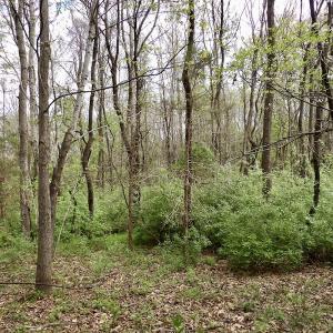 Photo #32 of SOLD property in 22 Davenport Rd, Cumberland, VA 5.0 acres