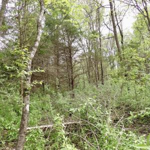 Photo #33 of SOLD property in 22 Davenport Rd, Cumberland, VA 5.0 acres