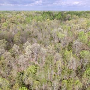 Photo #36 of SOLD property in 22 Davenport Rd, Cumberland, VA 5.0 acres