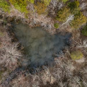 Photo #34 of SOLD property in 9094 Shotwell Road, Roxboro, NC 47.7 acres