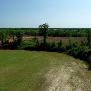 Photo #2 of SOLD property in Boyd Road, Fairmont, NC 20.1 acres