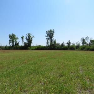 Photo #3 of SOLD property in Boyd Road, Fairmont, NC 20.1 acres