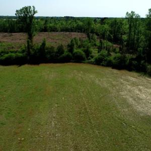 Photo #9 of SOLD property in Boyd Road, Fairmont, NC 20.1 acres