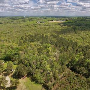 Photo #23 of SOLD property in Off Reges Store Road , Nashville, NC 27.1 acres