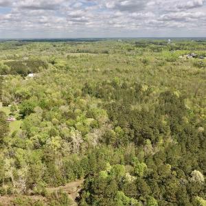 Photo #24 of SOLD property in Off Reges Store Road , Nashville, NC 27.1 acres