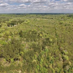 Photo #25 of SOLD property in Off Reges Store Road , Nashville, NC 27.1 acres