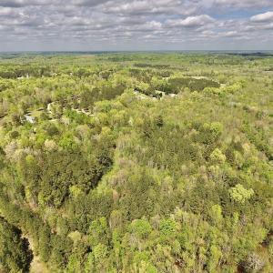 Photo #26 of SOLD property in Off Reges Store Road , Nashville, NC 27.1 acres