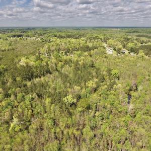 Photo #27 of SOLD property in Off Reges Store Road , Nashville, NC 27.1 acres