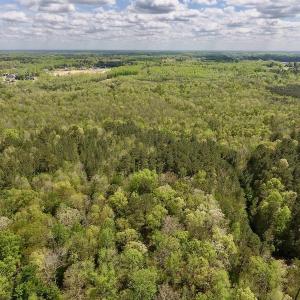 Photo #28 of SOLD property in Off Reges Store Road , Nashville, NC 27.1 acres