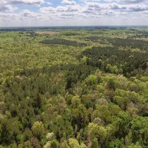 Photo #29 of SOLD property in Off Reges Store Road , Nashville, NC 27.1 acres