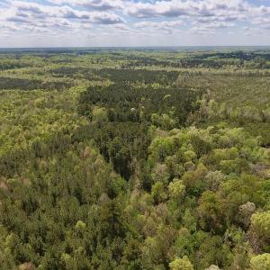Photo #30 of SOLD property in Off Reges Store Road , Nashville, NC 27.1 acres
