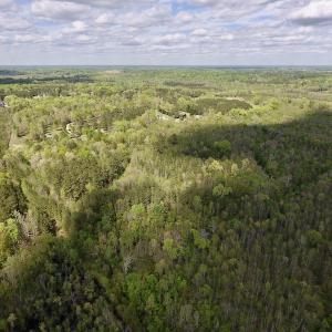 Photo #31 of SOLD property in Off Reges Store Road , Nashville, NC 27.1 acres