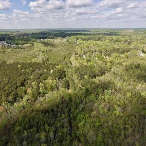 Photo #32 of SOLD property in Off Reges Store Road , Nashville, NC 27.1 acres