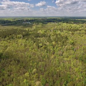Photo #34 of SOLD property in Off Reges Store Road , Nashville, NC 27.1 acres