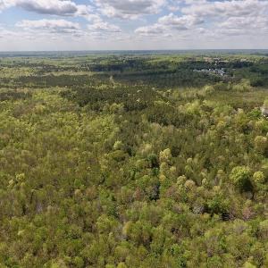 Photo #37 of SOLD property in Off Reges Store Road , Nashville, NC 27.1 acres