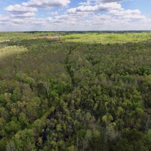 Photo #40 of SOLD property in Off Reges Store Road , Nashville, NC 27.1 acres