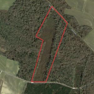 Photo #1 of SOLD property in Off Lewis Haddock Road , Grifton, NC 46.7 acres