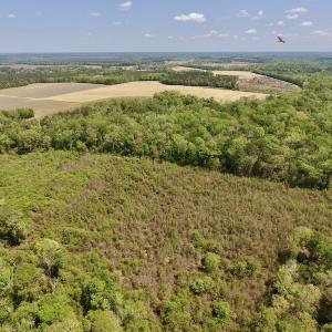Photo #8 of SOLD property in Off Lewis Haddock Road , Grifton, NC 46.7 acres